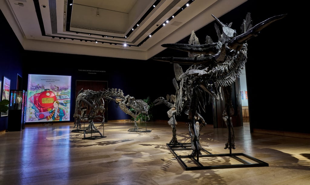 Dinosaur fossils are displayed at auction house Christie’s in London, Britain. Photo: Christie’s via Reuters