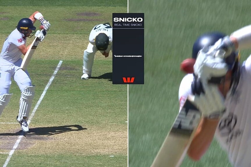 Snicko shows a big spike as the ball passes the glove