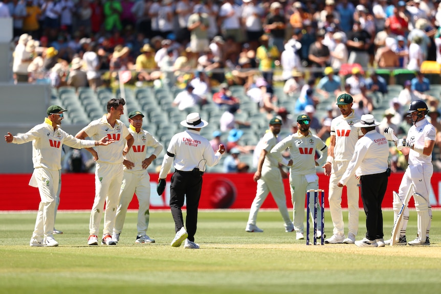 Australia players argue with umpires during an Ashes Test.