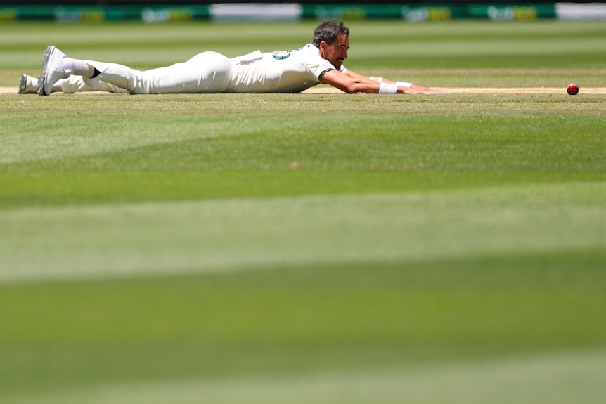 Mitchell Starc lays face down on the pitch