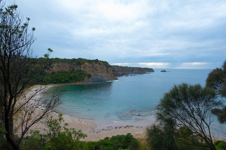 A landscape shot of a bay and sandy beach, framed by dark green trees. Overcast skies.