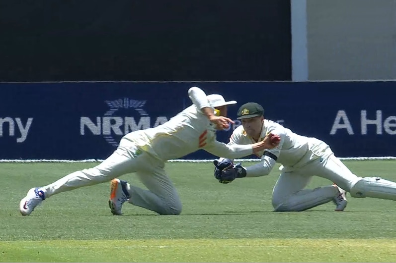A cricketer in white takes a diving low catch with his left hand.