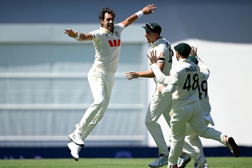 A cricket player in white jumps and smiles while his team-mates clap and celebrate too