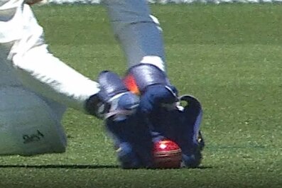 A ball touches the grass before going into a pair of wicket keeping gloves