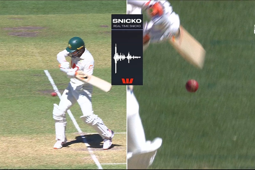A screen grab of Snicko showing a big spike with the ball not close to the bat.