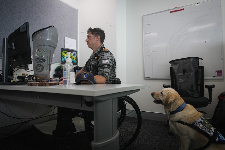 Dave sits working at his desk, while his assistance dog, Suki, sits next to him watching on.