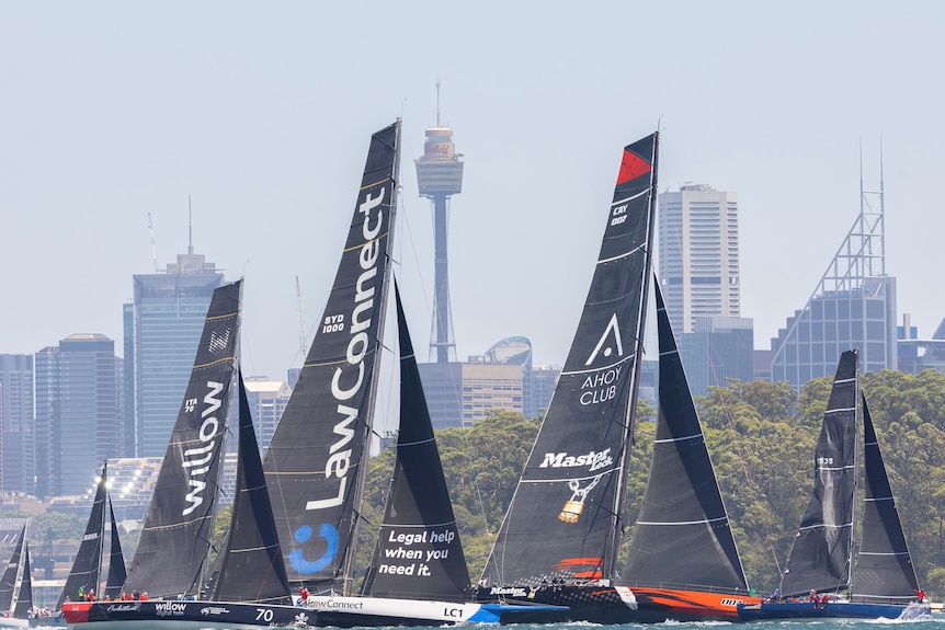 Master Lock Comanche, LawConnect and Celestial V70 with Sydney in the background.