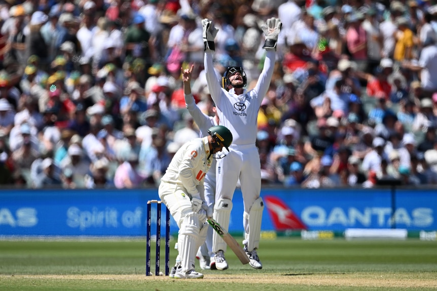 A batter looks at the ground as a wicketkeeper holds his hands in the air in celebration