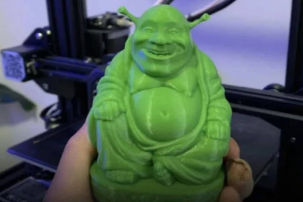 The woman was taken by the round shape and gentle expression of the green “statue”, above. Photo: mirrormedia