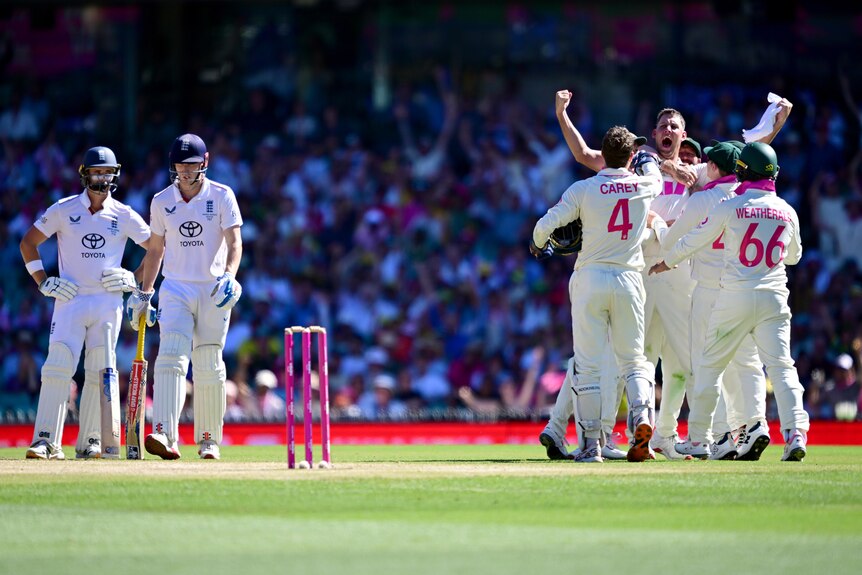 A group of fielding cricketers embrace in celebration while two batters stand nearby.