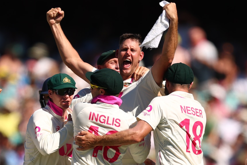 Beau Webster celebrates his wickets with teammates