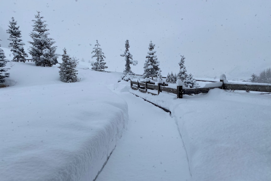 Thick snow is partially cleared on a path past a wooden fence.