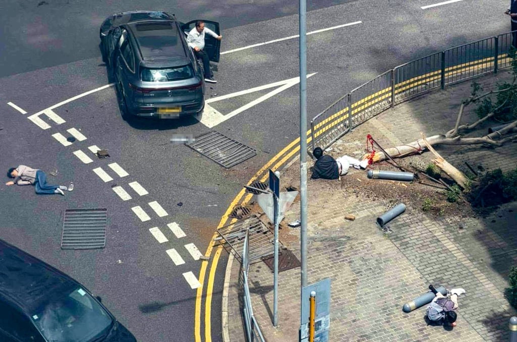 The vehicle, which has both local and mainland Chinese number plates, veered onto the pavement. Photo: Handout