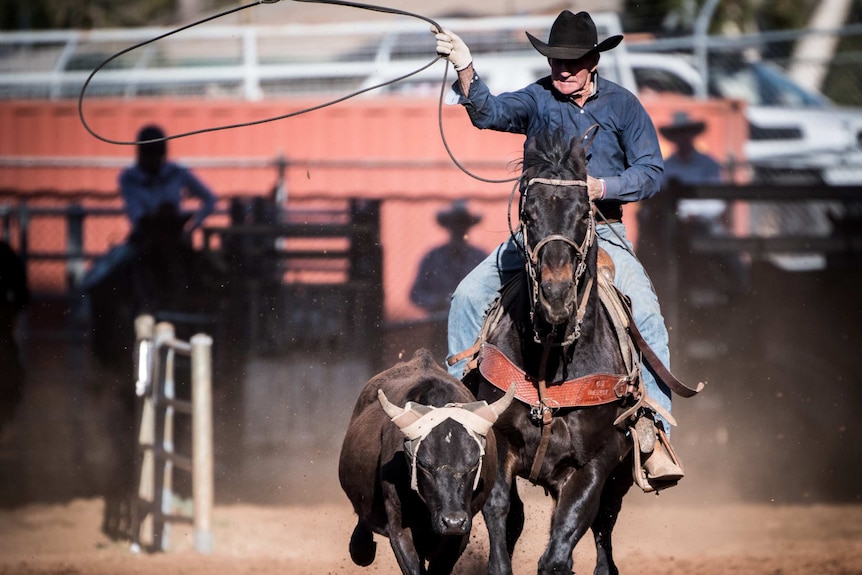 Bob completes in the calf roping event.
