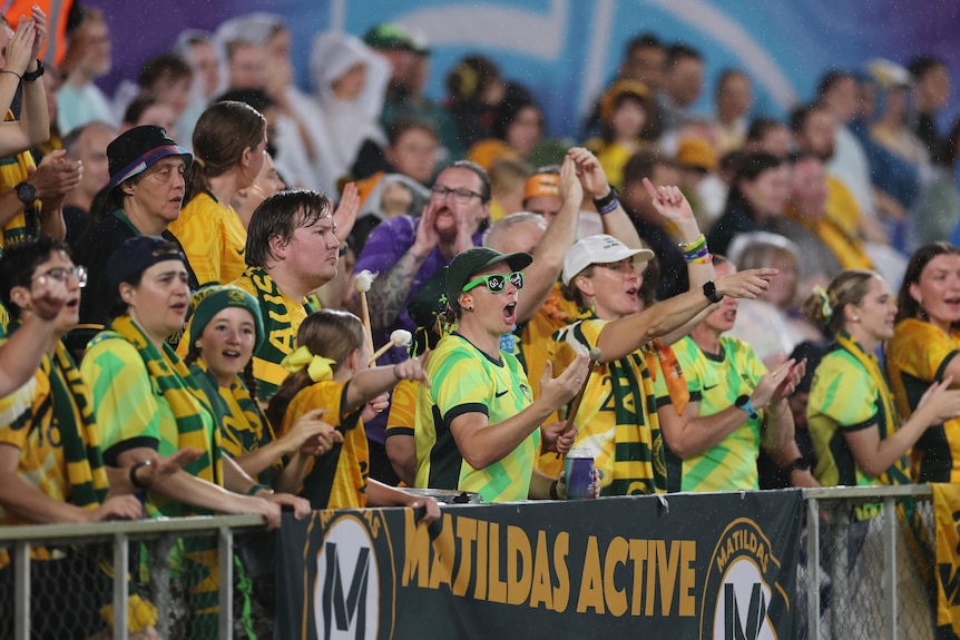 A group of Matildas fans cheer during a game