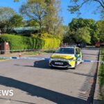 Boy, 17, pleads guilty to synagogue arson attack