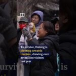 China unveils world’s first coal fuel cell that can produce electricity with zero emission