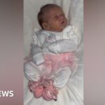 Family ‘robbed of memories’ after baby’s dog death