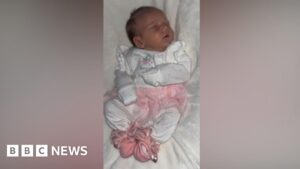 Family ‘robbed of memories’ after baby’s dog death