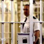 ‘Killing in prison is not difficult’ – the rise in cold-blooded attacks behind bars