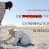 Patrocinio: Mexico’s Largest Extermination Site and the Never-Ending Search