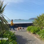 Rain set to ease for the weekend as sunshine returns