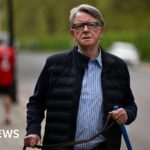 Senior official ousted over Mandelson security row to face MPs