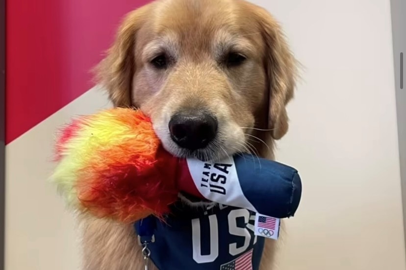 Beacon the dog holds a Team USA toy