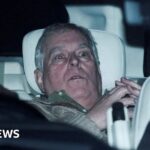 Andrew investigation could look into sexual misconduct allegations