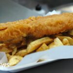 Chippies sell catfish as ‘traditional fish supper’