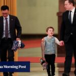 Eye on the tiger: how Elon Musk’s son’s bag became a hit with Chinese public