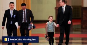 Eye on the tiger: how Elon Musk’s son’s bag became a hit with Chinese public