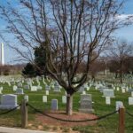 Gold Star Wife Asked for Photos of Her Husband’s Arlington Cemetery Grave — and Then the Magic Happened