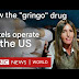 “Gringo Cartels”: How Drug Gangs Operate in the U.S.
