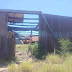 Mass Graves and Clandestine “Cooking Pits” Found in Miguel Alemán