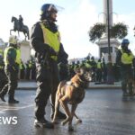 Met Police prepares armoured vehicles and 4,000 officers for dual London protests