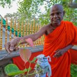Sri Lanka’s top monk suspended over alleged child sex abuse