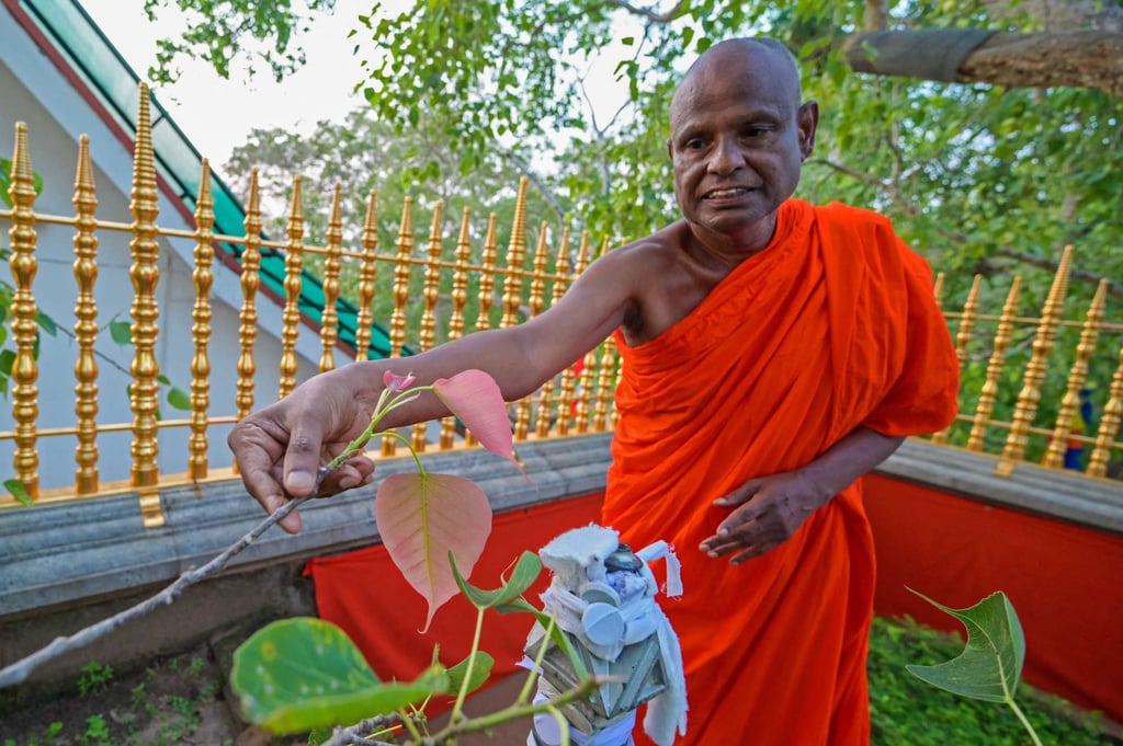 Buddhist monk Pallegama Hemarathana was stripped of his responsibilities as the chief custodian of a highly venerated ficus grown from a sapling of a tree believed to have sheltered the Buddha. Photo: AFP