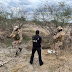 Two Clandestine Fuel Taps Secured in Rural Altamira