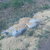 200 Kilos of Explosives Found on the Aguascalientes-Zacatecas Border