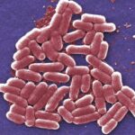 DNI Tulsi Gabbard Exposes 120+ US-Funded Biolabs Worldwide