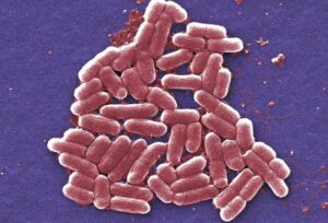 DNI Tulsi Gabbard Exposes 120+ US-Funded Biolabs Worldwide