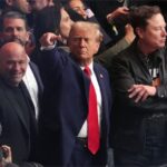 THE ESSEX FILES: Why a UFC Octagon on the White House Lawn Is the Ultimate Symbol of American Merit