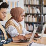 Third of people say uni degree not worth it, as student loan inquiry begins