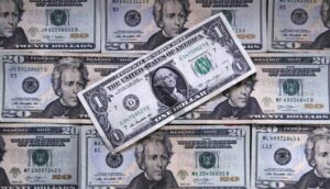 Chinese Asylum Seeker Now Charged With $360 Thousand Tech Scam Attempt on NY Senior