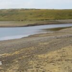 Drought declared across whole of Wales as conditions ‘deteriorate’