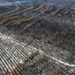 France, Spain make headway against wildfires but new heatwave looms
