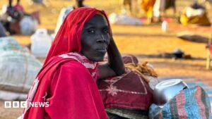 International court tells BBC of breakthrough in Sudan war crimes probe