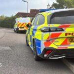 Murder inquiry after mother and children found dead