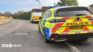 Murder inquiry after mother and children found dead